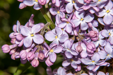 Similar image 6259318