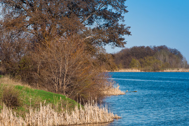 Similar image 6259330