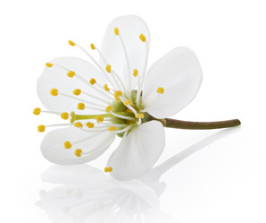 Similar image 6259337