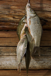 Similar image 6259344