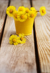 Similar image 6259345