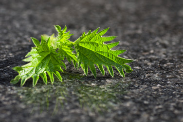 Similar image 6259346