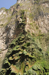 Similar image 6259499