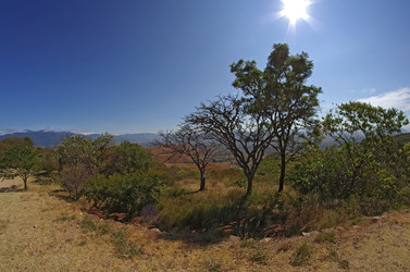 Similar image 6259508