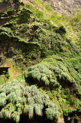 Similar image 6259510