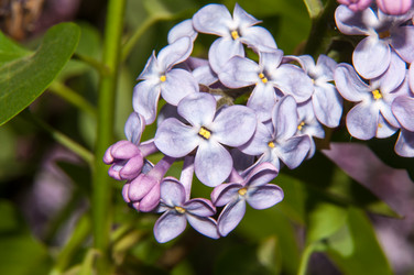 Similar image 6259518