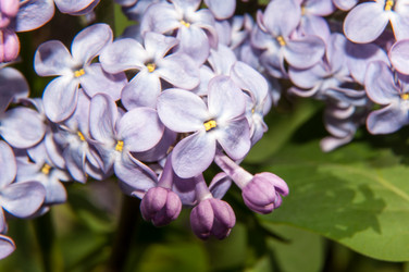 Similar image 6259519