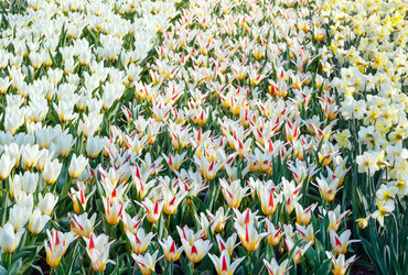 Similar image 6259540