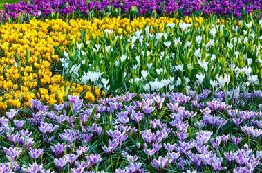 Similar image 6259546