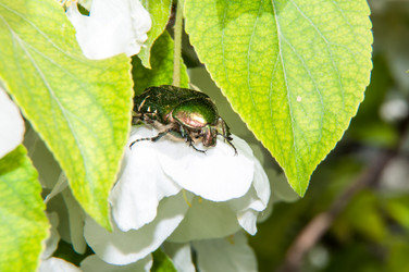 Similar image 6259661