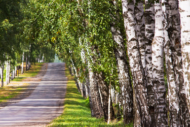 Similar image 6260028