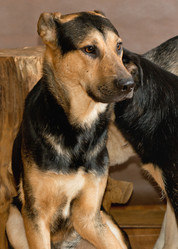 Similar image 6260031