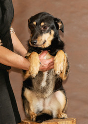 Similar image 6260034