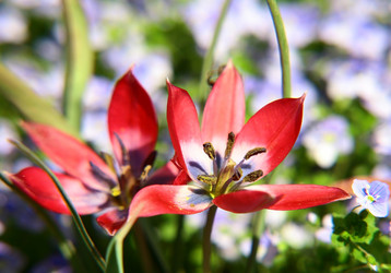 Similar image 6260037