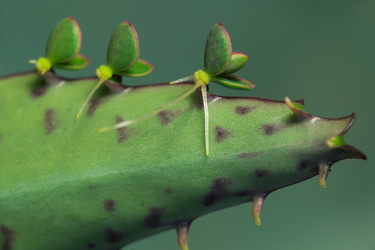 Similar image 6276967