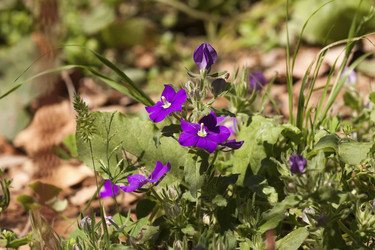 Similar image 6276976