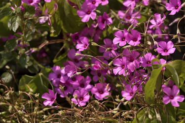 Similar image 6276979