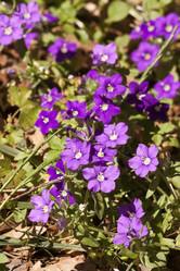 Similar image 6276980