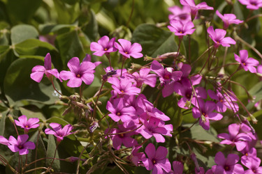 Similar image 6276981