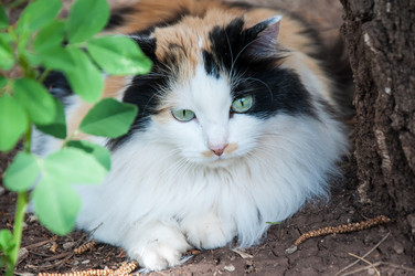 Similar image 6277027