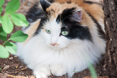 Similar image 6277028