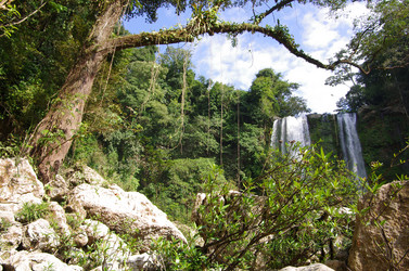 Similar image 6277063