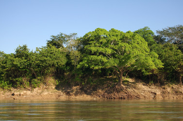 Similar image 6277066