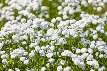 Similar image 6277115