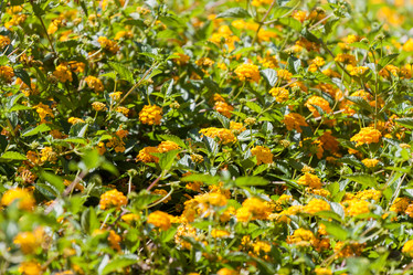 Similar image 6277126