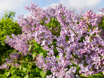 Similar image 6277328