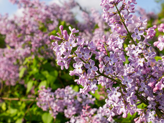 Similar image 6277329