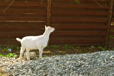 Similar image 6277358