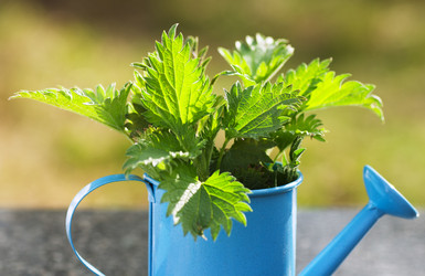 Similar image 6277423