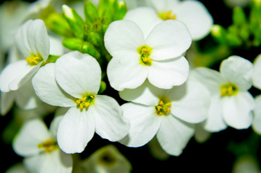 Similar image 6277445