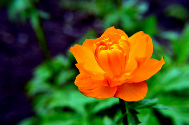 Similar image 6277447