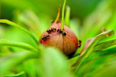 Similar image 6277449