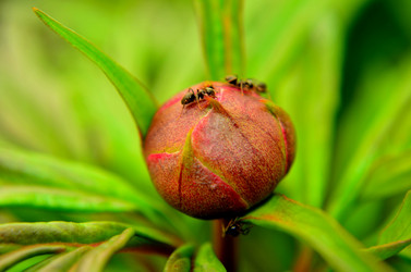 Similar image 6277450