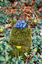 Similar image 6277466