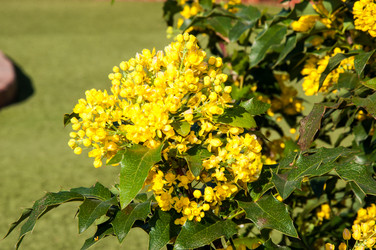 Similar image 6277486