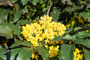 Similar image 6277487