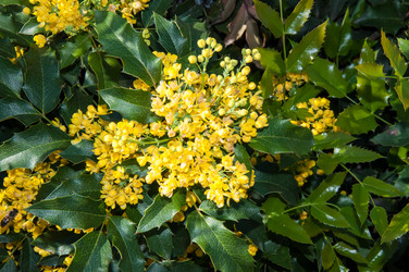 Similar image 6277489