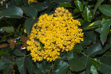 Similar image 6277490