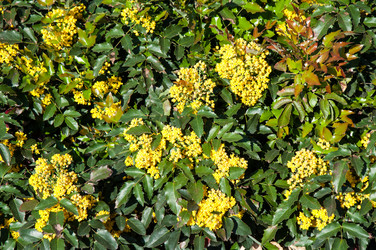 Similar image 6277493