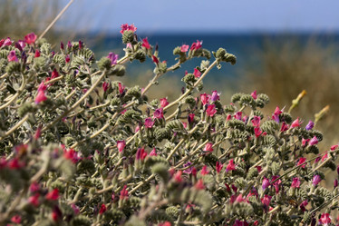 Similar image 6277504