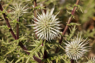 Similar image 6277505