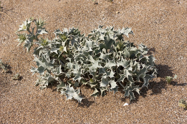 Similar image 6277506