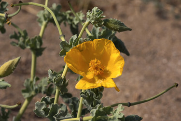 Similar image 6277511