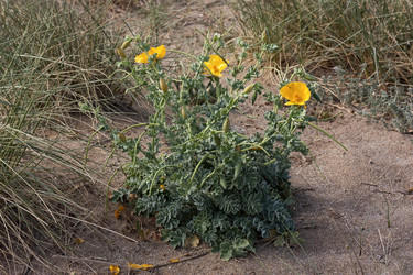 Similar image 6277512