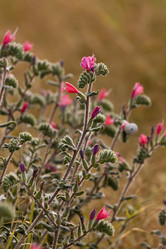 Similar image 6277514