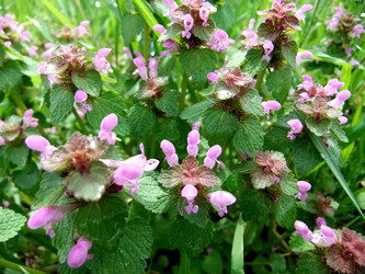 Similar image 6277535